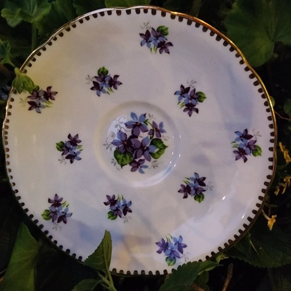 Sweet Violets Tea Cup & Saucer Royal Stafford Bone China England White Purple
